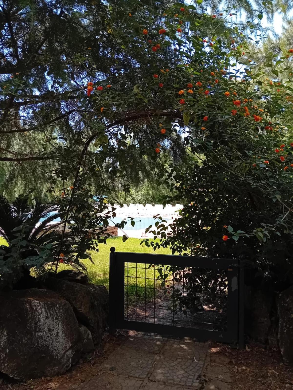 Bed and Breakfast Casale Rurale San Marco Evangelista Exterior foto